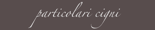 particolari cigni